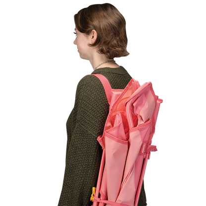 420281-carry.png